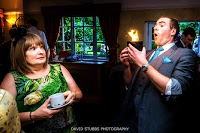 David Stubbs Photography 1059523 Image 7